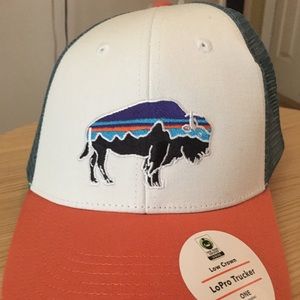 Patagonia Fitzroy bison Lo pro trucker hat